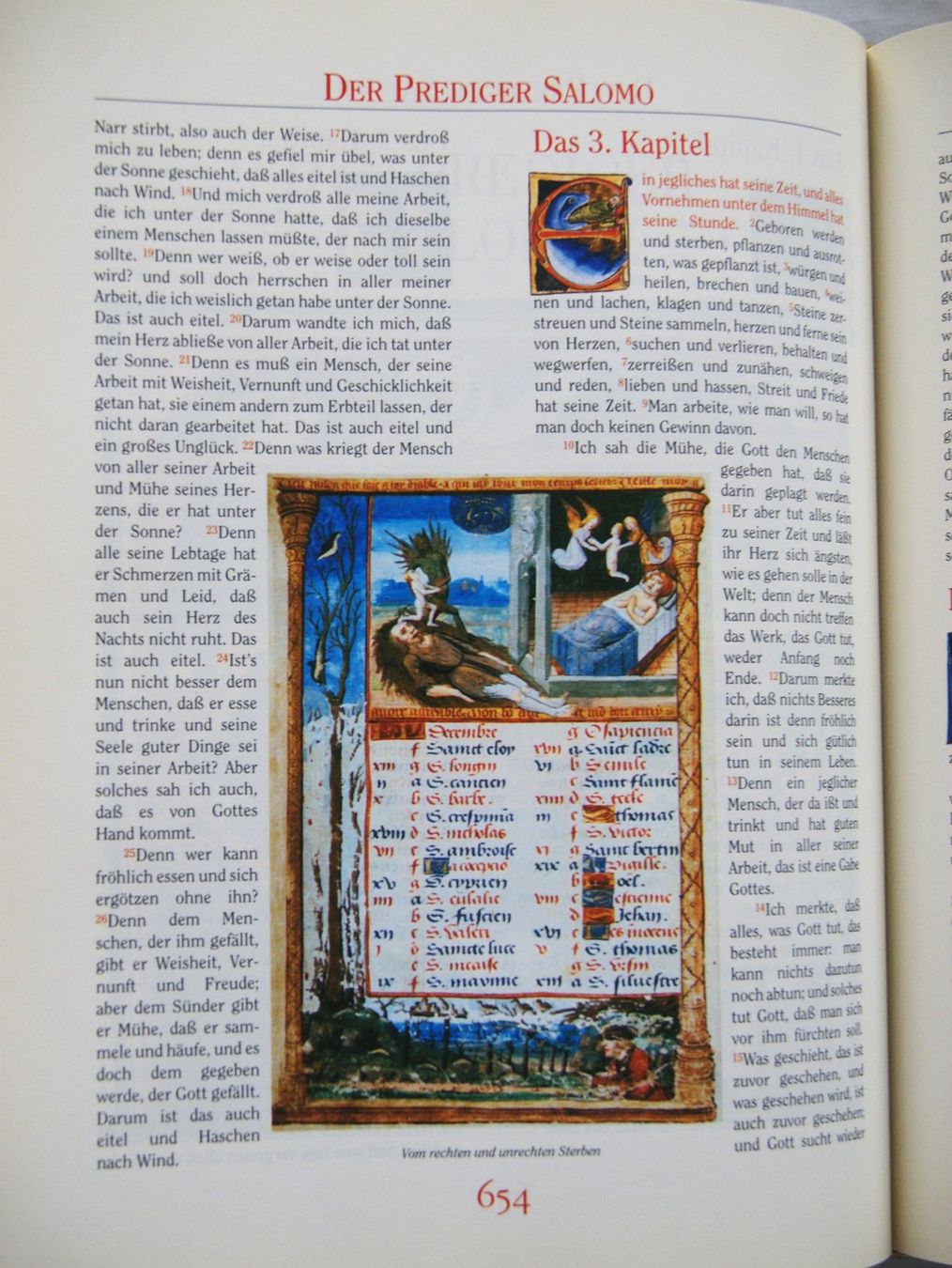 Livres: DIE BIBEL – D'occasion à Stadel par Wald100 8