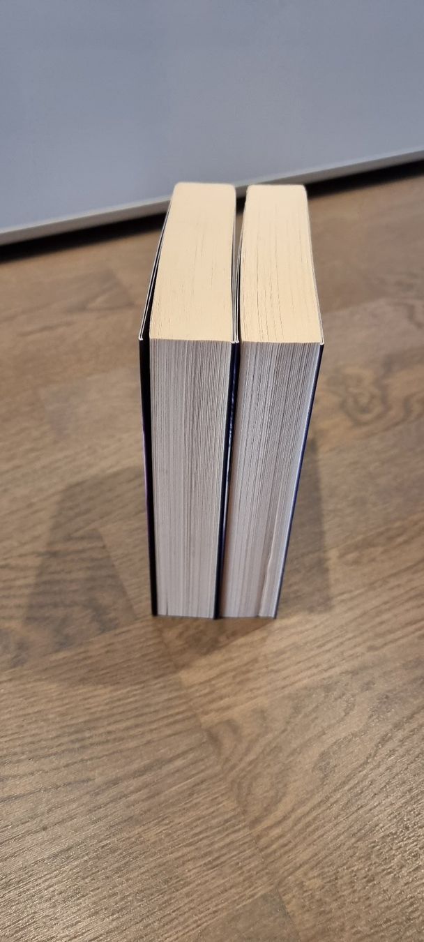 Bücher: Krieger des Lichts - Pamela Palmer – Gebraucht aus Hinterforst von impatiently 3