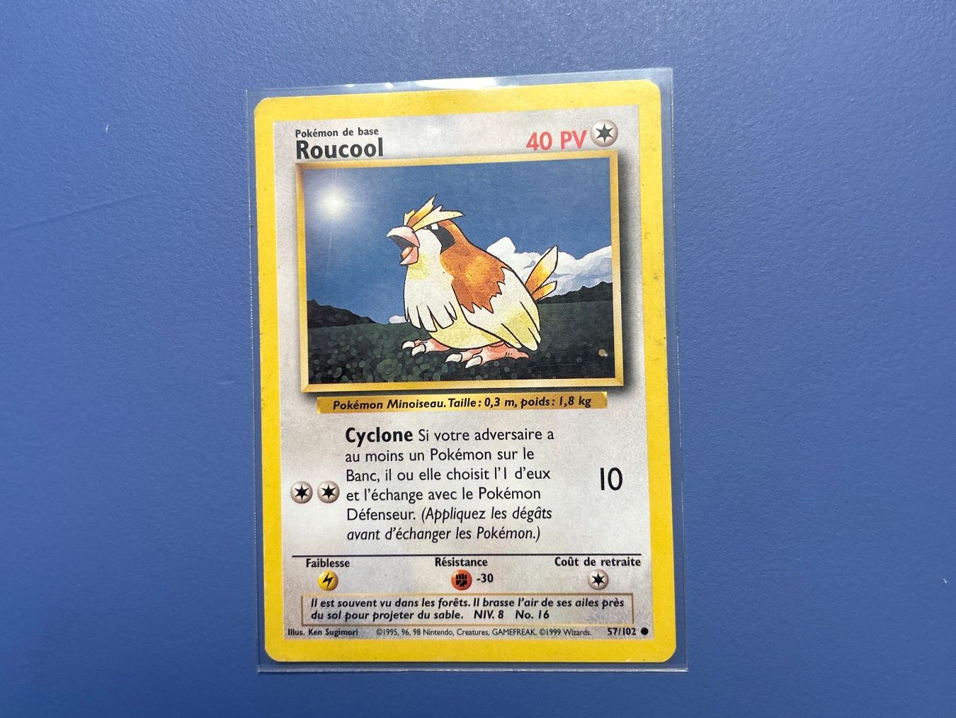 Pokémon Carte collezionabili: 1999 Roucoul 57/102 Set de base FR – Usato da Schlieren venduto da happymerchant64