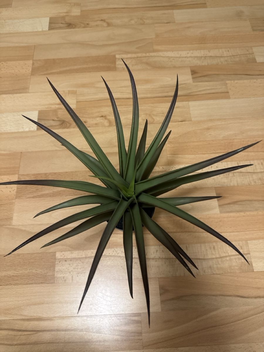 Plantes & graines: Kunstpflanze agave Topf  – D'occasion à Netstal par Oezi88 1