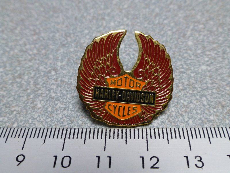 Placchette & Badge: PIN PINS HARLEY DAVIDSON HOG ABZEICHEN CHAPTER BADGE – Usato da Gränichen venduto da Jumbo77