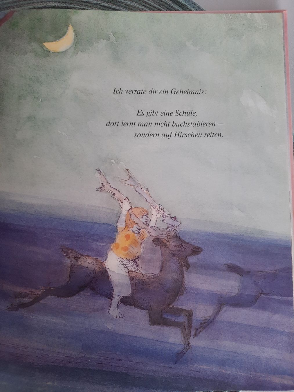 Libri: Kinderbuch "Die Schule der glücklichen Kinder" Pausewang – Usato da Vaduz venduto da DIESEL_60 3