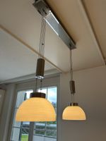 Pendelleuchte LED 2-flammig