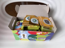 1050 Panini Sticker WM 2026