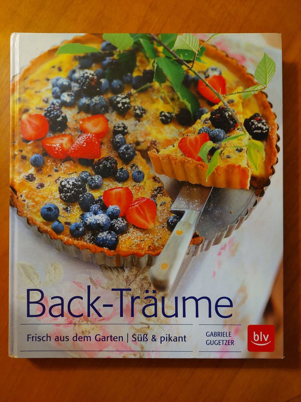 Libri: Back-Träume – Usato da Wynau venduto da Meysi