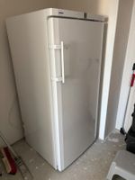 Liebherr Gefrierschrank Premium Nofrost Weiss guter Zustand