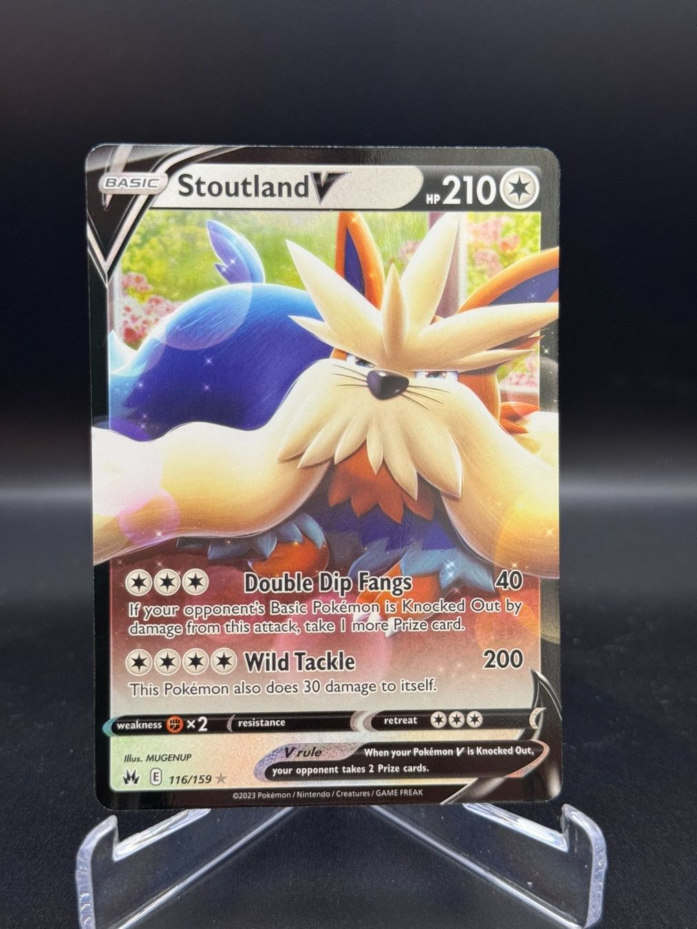 Pokémon Carte collezionabili: Stoutland V (CRZ 116) – Usato da Birmensdorf ZH venduto da SnorlaxMail