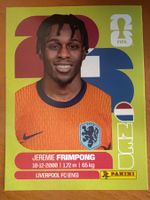 Panini NED8