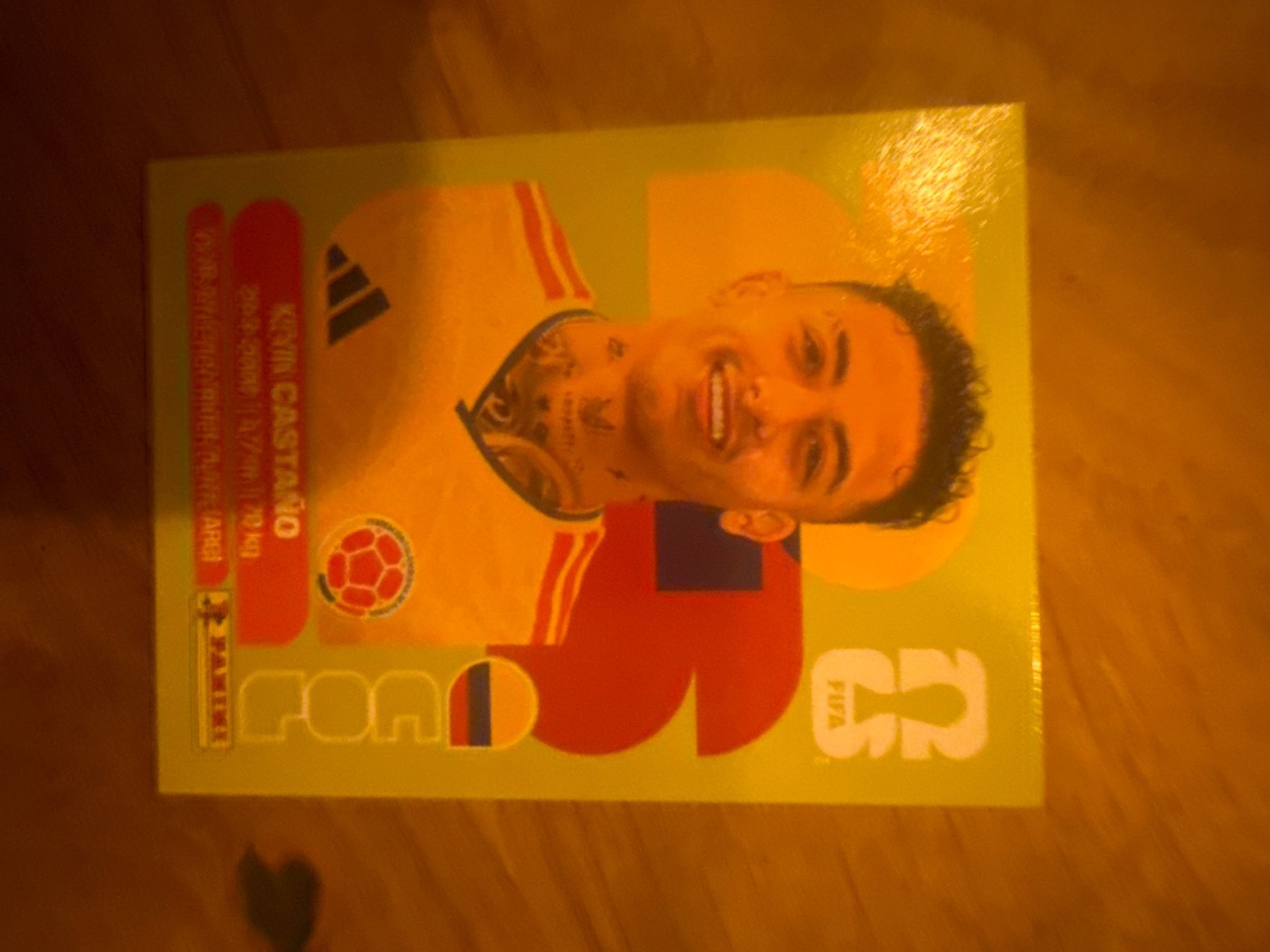 Panini Carte collezionabili: Panini – Usato da Langnau i. E. venduto da Acrjl