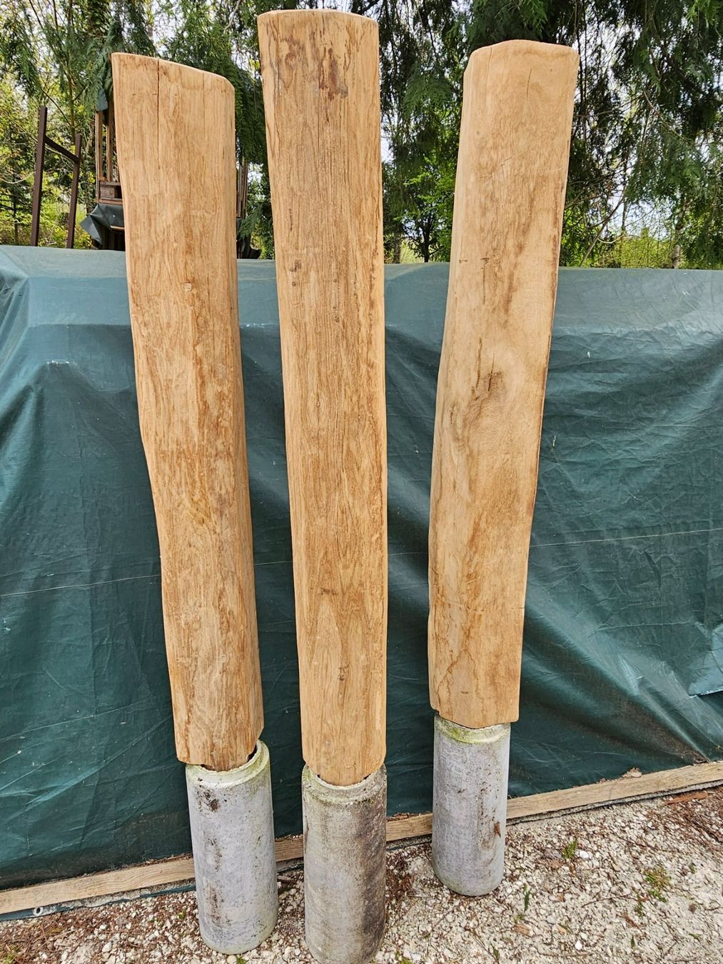 Articoli in legno: Infopfosten – Nuovo (secondo la descrizione) da Aarburg venduto da Joerg.Andre 1