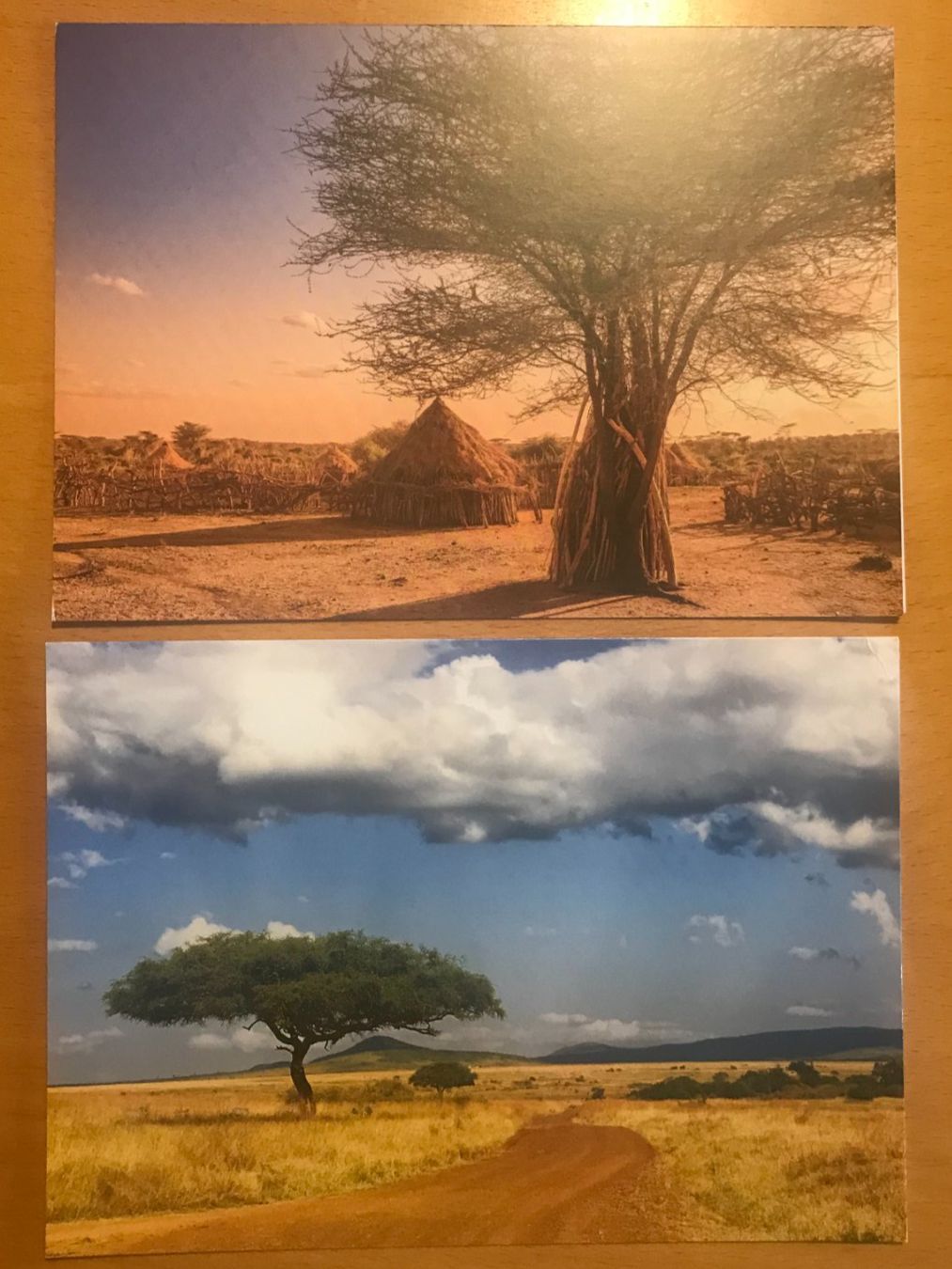 Cartoline postali: 2x Grusskarten Landschaft Afrika – Usato da Luzern venduto da mey_s13