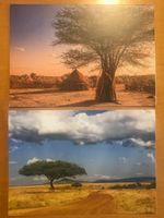 2x Grusskarten Landschaft Afrika