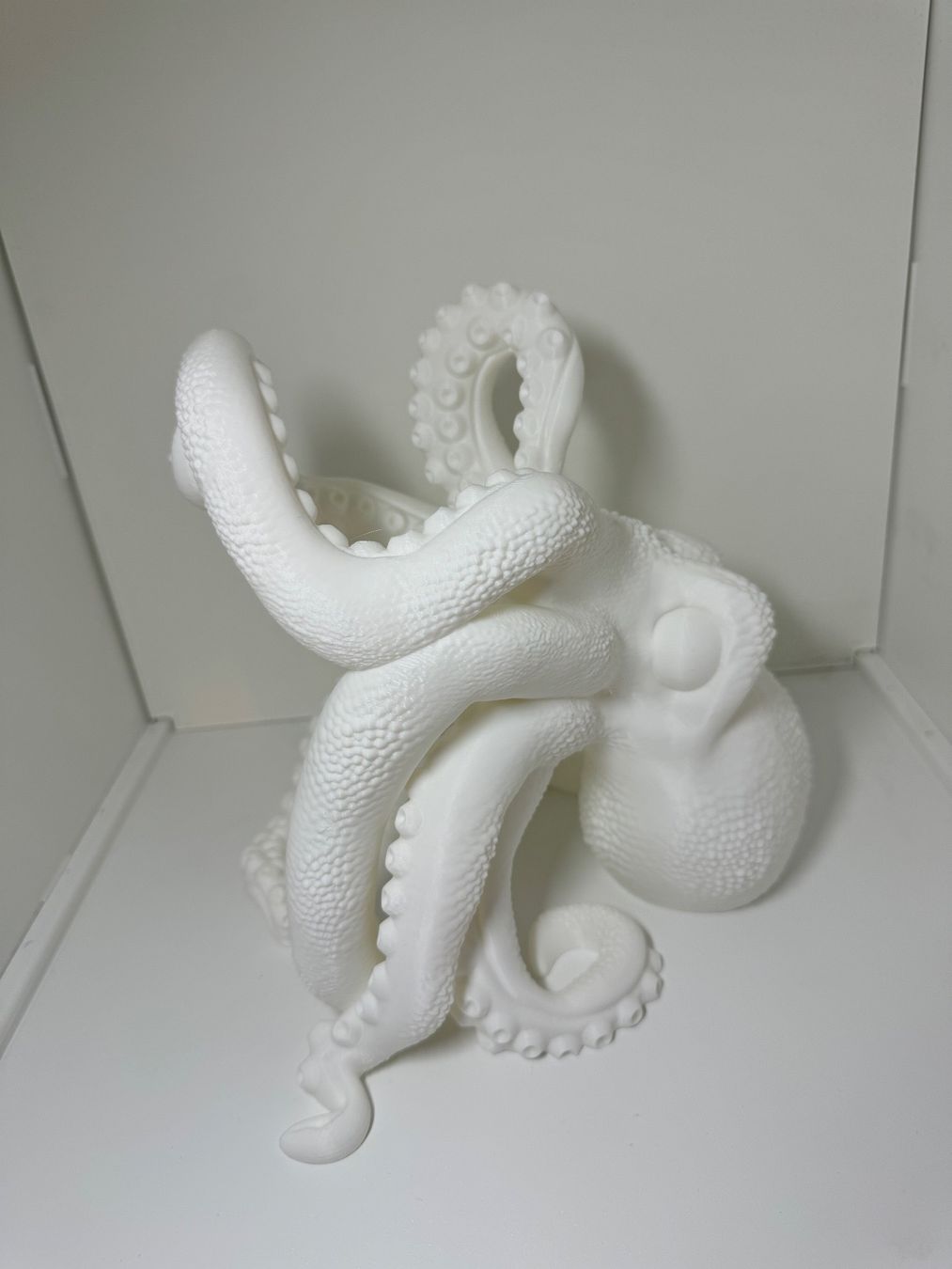 Portabottiglie: Pieuvre Octopus Oktopus support pour bouteille – Nuovo (secondo la descrizione) da Vicques venduto da PAMB3D 3