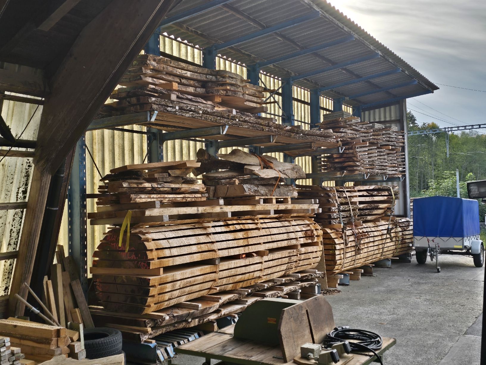 Holzartikel: Laubholz, Nussbaum, Eiche, Ahorn, Kirschbaum, Esche – Neu (gemäss Beschreibung) aus Ramsei von Waelchris 3