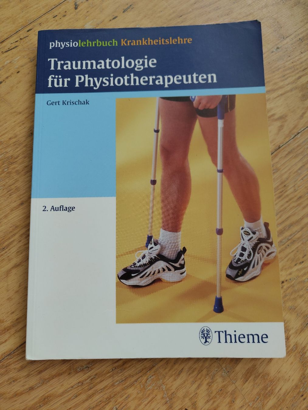 Livres: Physiolehrbuch Krankheitslehre Traumatologie – D'occasion à Spiegel b. Bern par M.Raymond