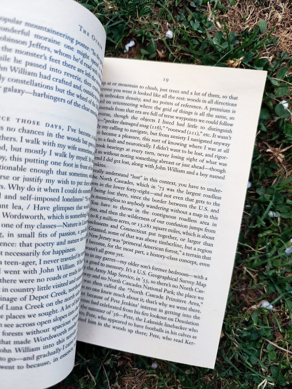 Libri: David Guterson The Other Novel Paperback – Usato da Mägenwil venduto da VintageGirly 5