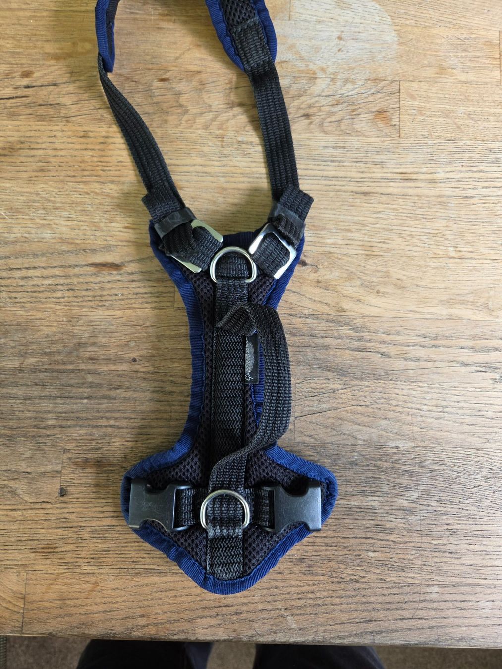 Grossenbacher Leine & Halsband: Grossenbacher Welpen Geschirr – Gebraucht aus Thun von Reda68 1