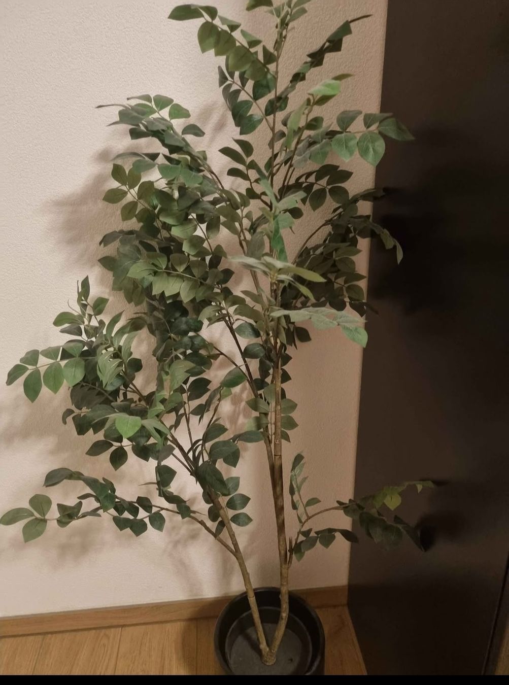 Piante & sementi: Artificial plant with or without pot – Nuovo (secondo la descrizione) da Le Locle venduto da vri_c59x