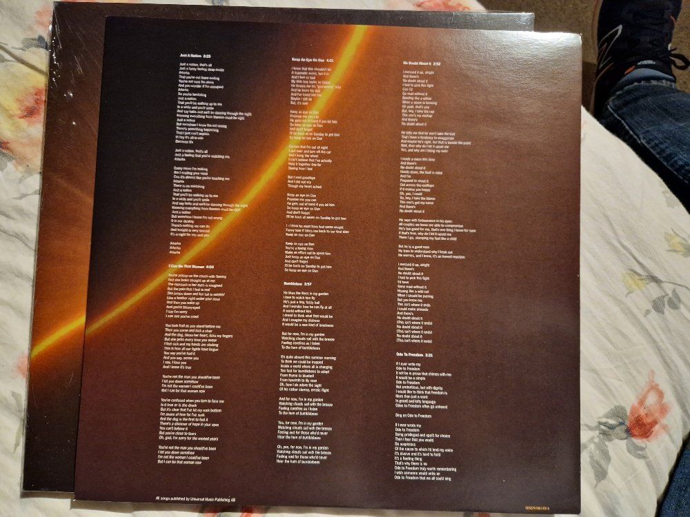 Dischi in vinile: ABBA – Voyage – Usato da Brittnau venduto da Zibu 3