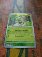 POKEMON  Felori    G  PAL DE   012/093   KP60   2023