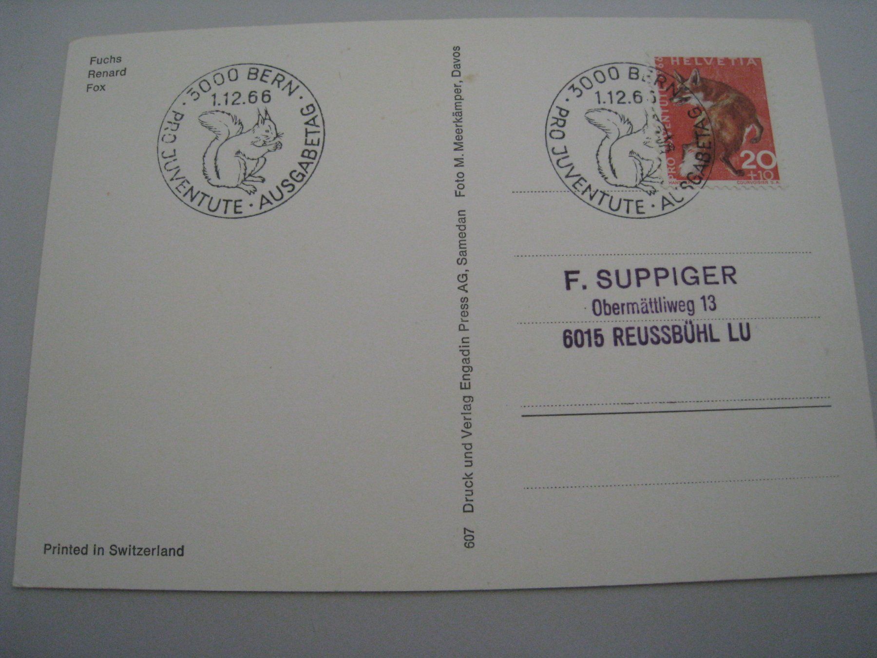 Ansichtskarten: Fuchs  1.12.1966   top Stempelungen – Gebraucht aus Aarwangen von Pinsel7890 1