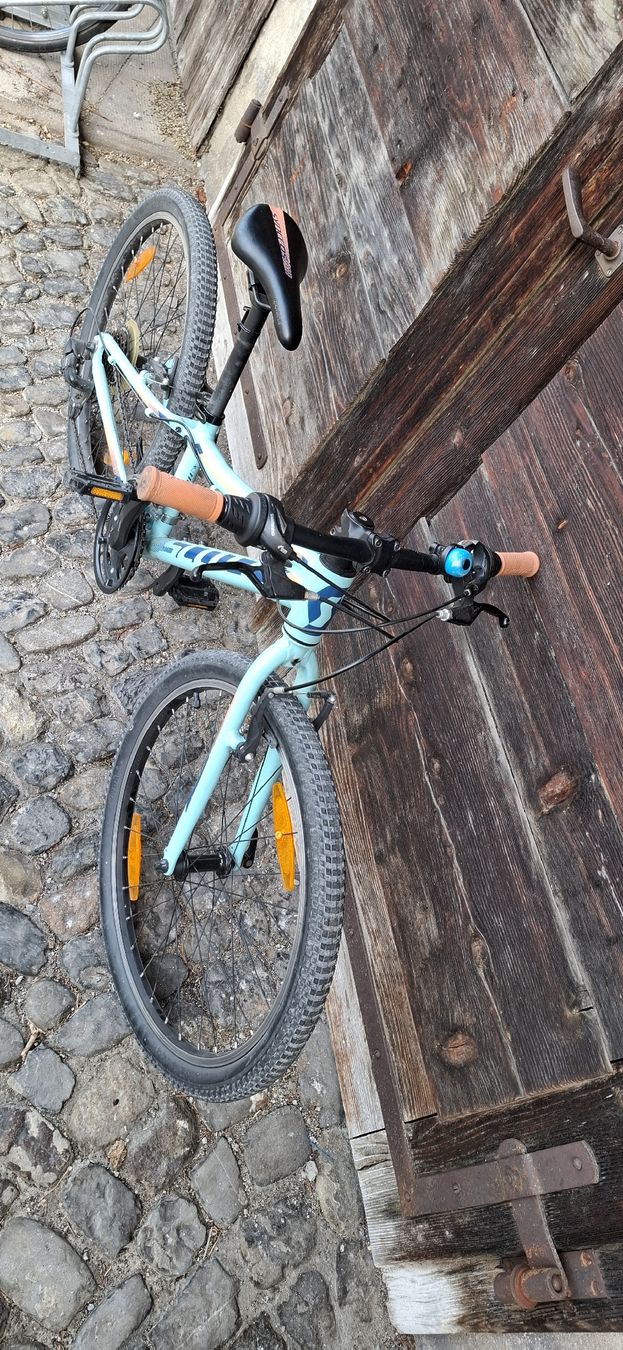 Scott Biciclette: SCOTT Kinder MTB velo  24" reder – Usato da Adliswil venduto da trujillo01 1