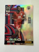 adrenalyn xl nr 348 Panini Aníbal Godoy Icon