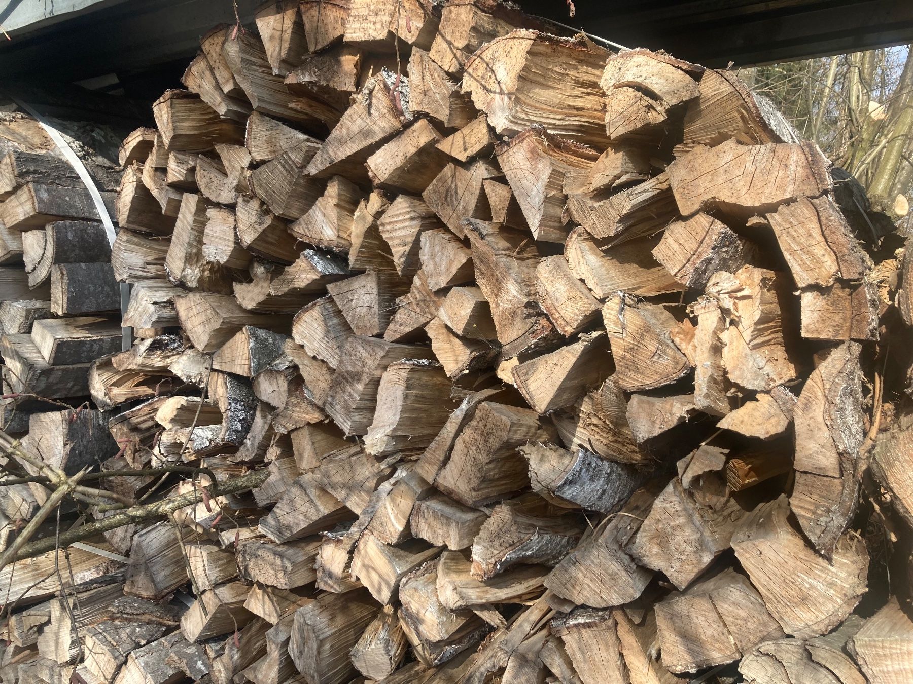 Articoli in legno: Brennholz Birke Cheminéeholz – Usato da Hosenruck venduto da Fox690 1