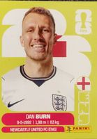 Panini ENG 8