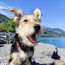 Profile image of Zpin