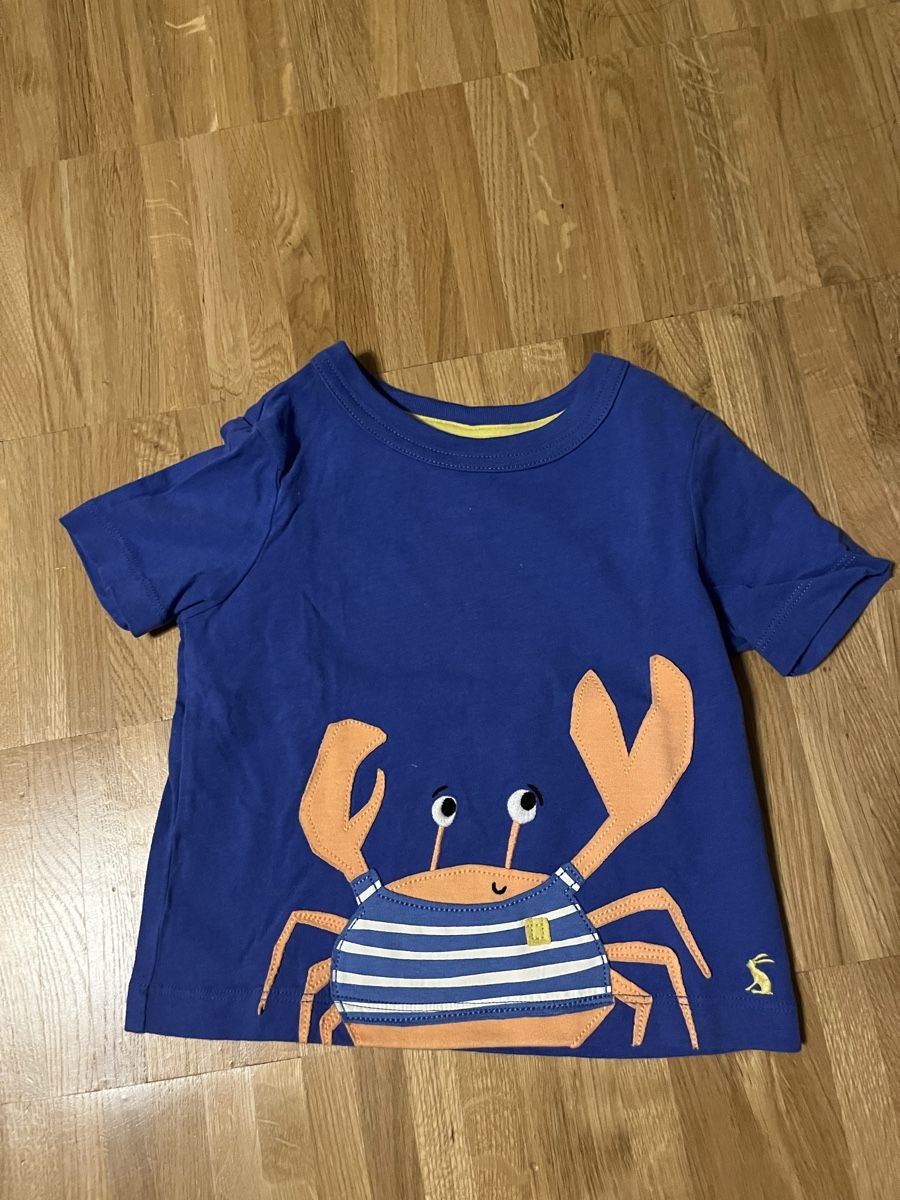 Camicie, Top & T-shirt: Unisex Babyshirt, Size 80 – Nuovo (secondo la descrizione) da Zollikerberg venduto da LLV