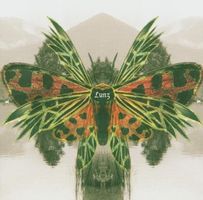 Lunz - Reinterpretations (2 CDs)