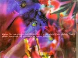 Marie-Jo LAFONTAINE. Lost Paradise. Fotografie. VIDEO ART