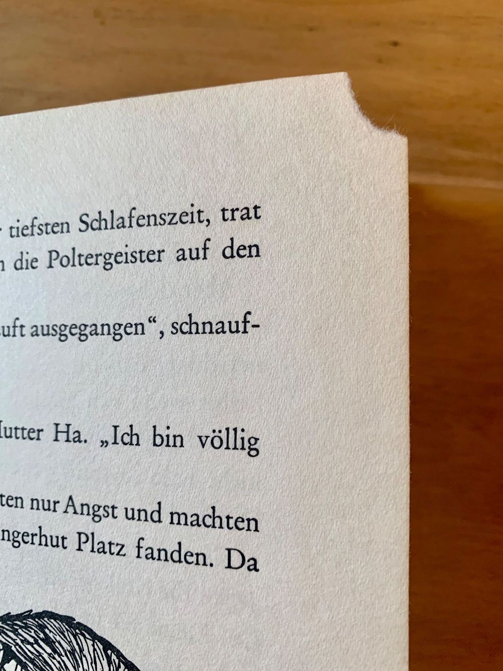 Libri: Hi der Poltergeist – Usato da Pontresina venduto da il-bain 4
