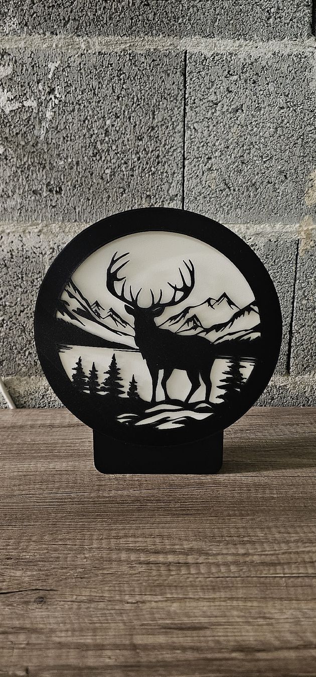 Lampes: 💡 Lampe LED décorative imprimée en 3D - Personalisable – Neuf avec emballage d'origine à Châtillens par Sebprint_3d 2