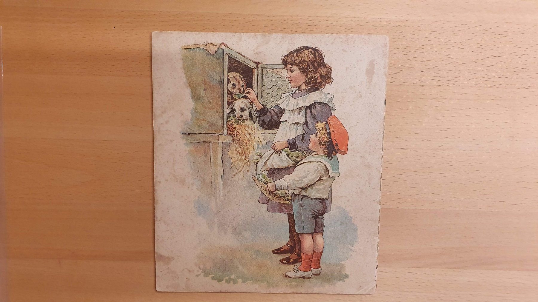 Libri: Freund Langohr - Verse von Else Dorn – Usato da Dietlikon venduto da Justus4 4
