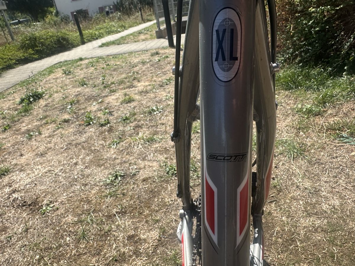 Scott Biciclette: Fahrrad Scott MTB 26 XL – Usato da Liestal venduto da dom_lr62 2