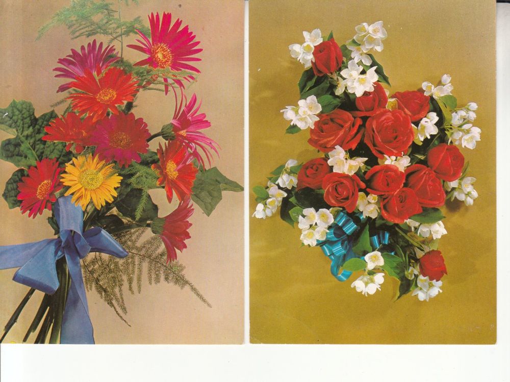 Cartoline postali: Floristik ca. 1970 5 Stk – Usato da Bürglen TG venduto da StampGraf 1