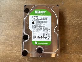 Festplatte HDD WD 1TB