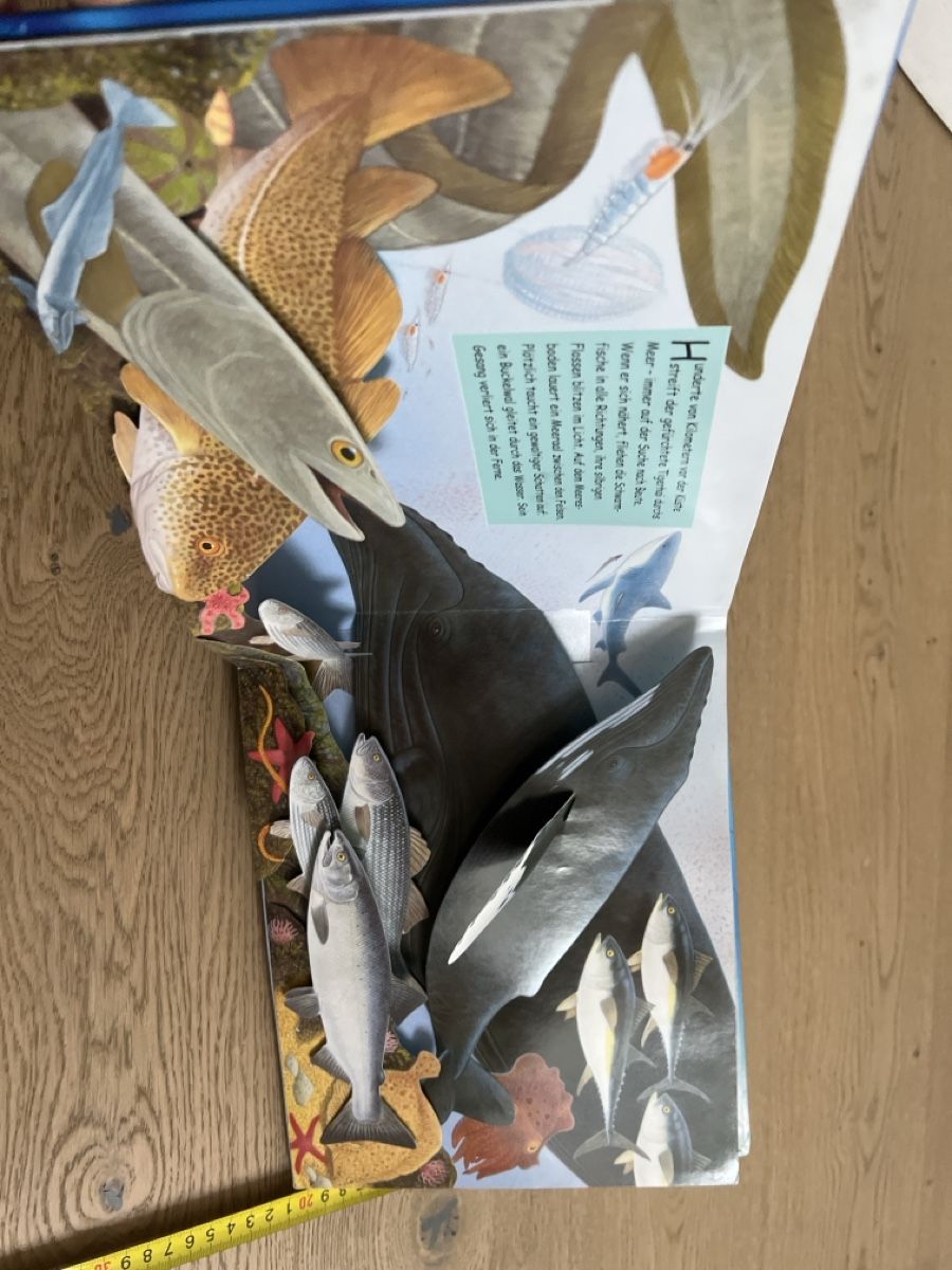 Libri: Zauberklang der Meere - Geräusche Pop-Up Buch  – Usato da Oensingen venduto da katepe 3
