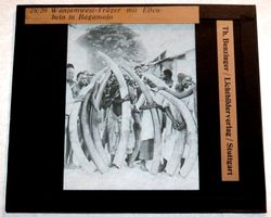 Glasdia Afrika Bagamojo Wanjamwesi Träger Elfenbein, um 1900