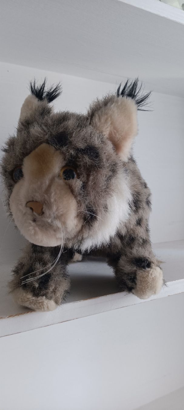 Teddy Hermann Jouets: Hermann Tier – D'occasion à Maienfeld par Andyr44