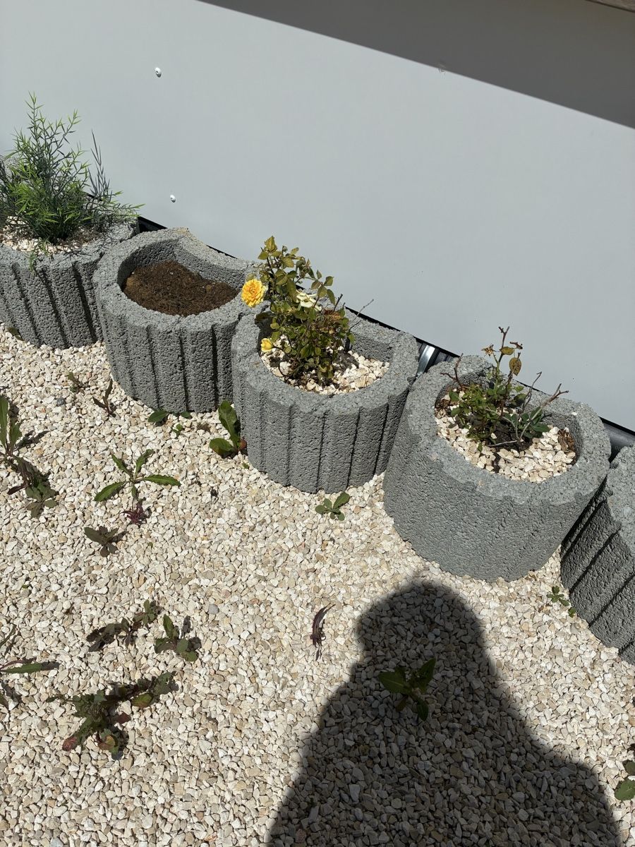 Pietre & tegole: Gartensteine gratis 🤗 – Usato da Rheinfelden venduto da AtelierRigardu 1