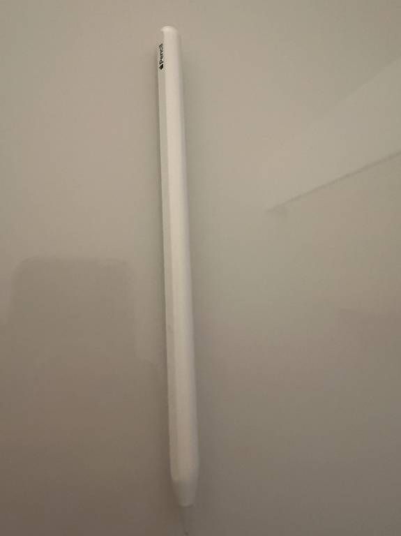 Apple Tablet PC: Apple Pencil (2. Generation)  Weiss – Usato da Dietikon venduto da Julia.obers