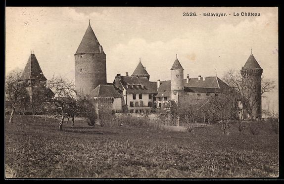 Ansichtskarten: AK Estavayer, Le Château – Gebraucht aus Berlin von bartko-reher
