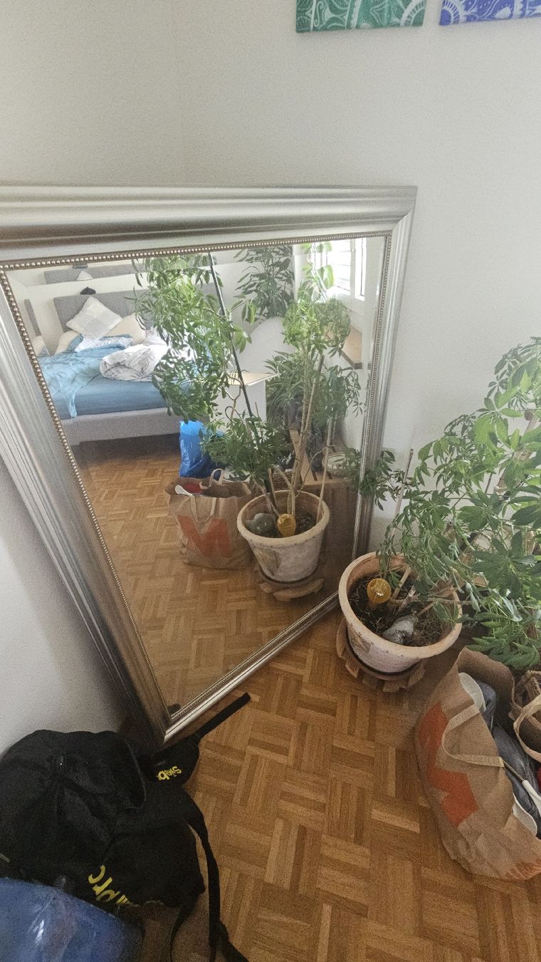 Specchi: Large framed mirror silver used condition – Usato da Zürich venduto da nad_7kbt 1