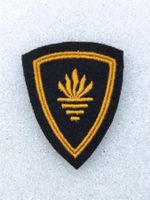 Funktionsabzeichen Flammenwerfer Ord. 49