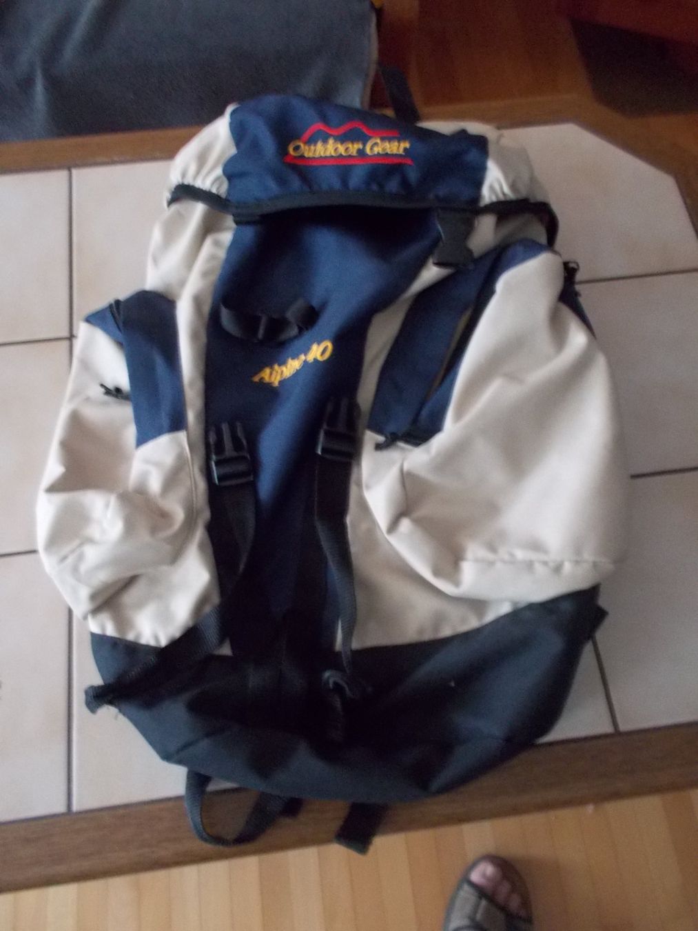 Rucksäcke: Rucksack Alpine 40 – Gebraucht aus Weinfelden von Simalaia