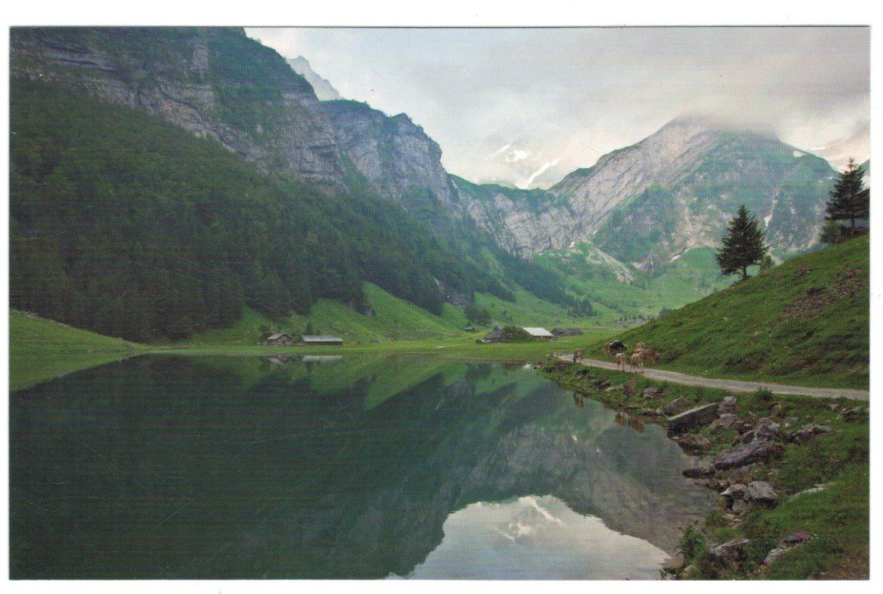 Cartoline postali: AK Seealpsee AI – Usato da Zürich venduto da Tolima194