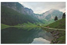 AK Seealpsee AI